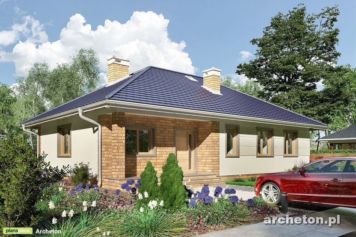 European House with Fireplace and Open Floor Plan